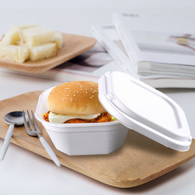 Lekvrije Biologisch afbreekbare Desechable om te gaan Containers met Deksel