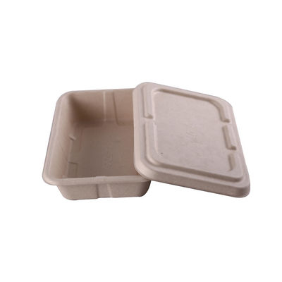 SGS Biologisch afbreekbare Tarwe Straw Fruit Pulp Food Containers met Deksel