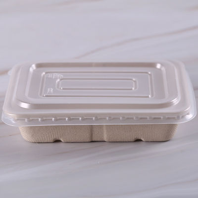 SGS Biologisch afbreekbare Tarwe Straw Fruit Pulp Food Containers met Deksel