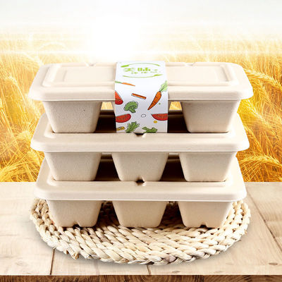 De biologisch afbreekbare 3 Compartimententarwe Straw Box met Deksel voor neemt