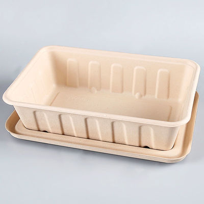 Het Suikerriet Beschikbare Containers van Desechablemicrowavable